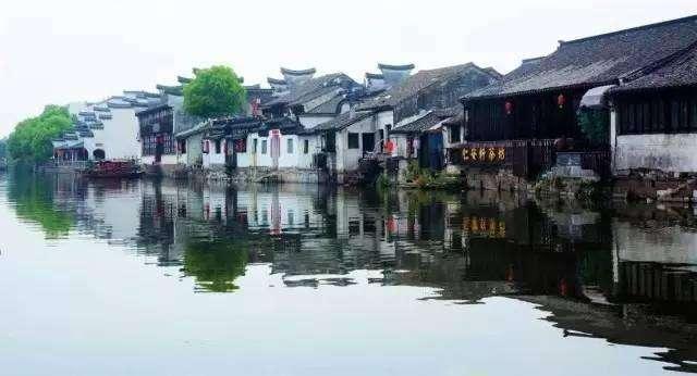 冷知识分享平台-发现互联网世界中的我和僵尸有个约会主题曲是?奇闻异事